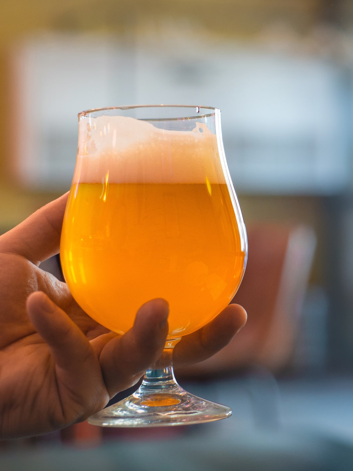 Qual a Melhor Cerveja do Brasil? Concurso Nacional Revela a Grande Campeã