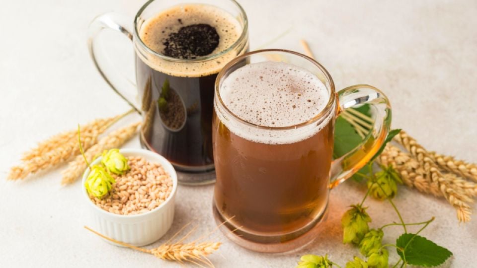 Revolução na Cerveja Brasileira: Conheça a Tecnologia que Transforma o Lúpulo Nacional