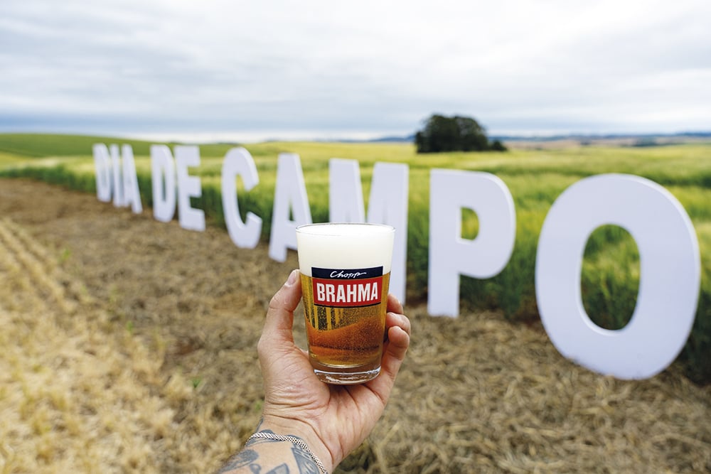 Da Lavoura ao Copo: Descubra a Jornada da Cerveja e o Segredo da Qualidade