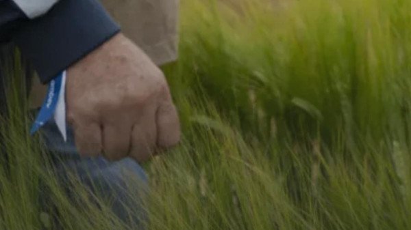 O Segredo da Cerveja Brasileira Está no Campo: A Revolução da Cevada no Sul do País