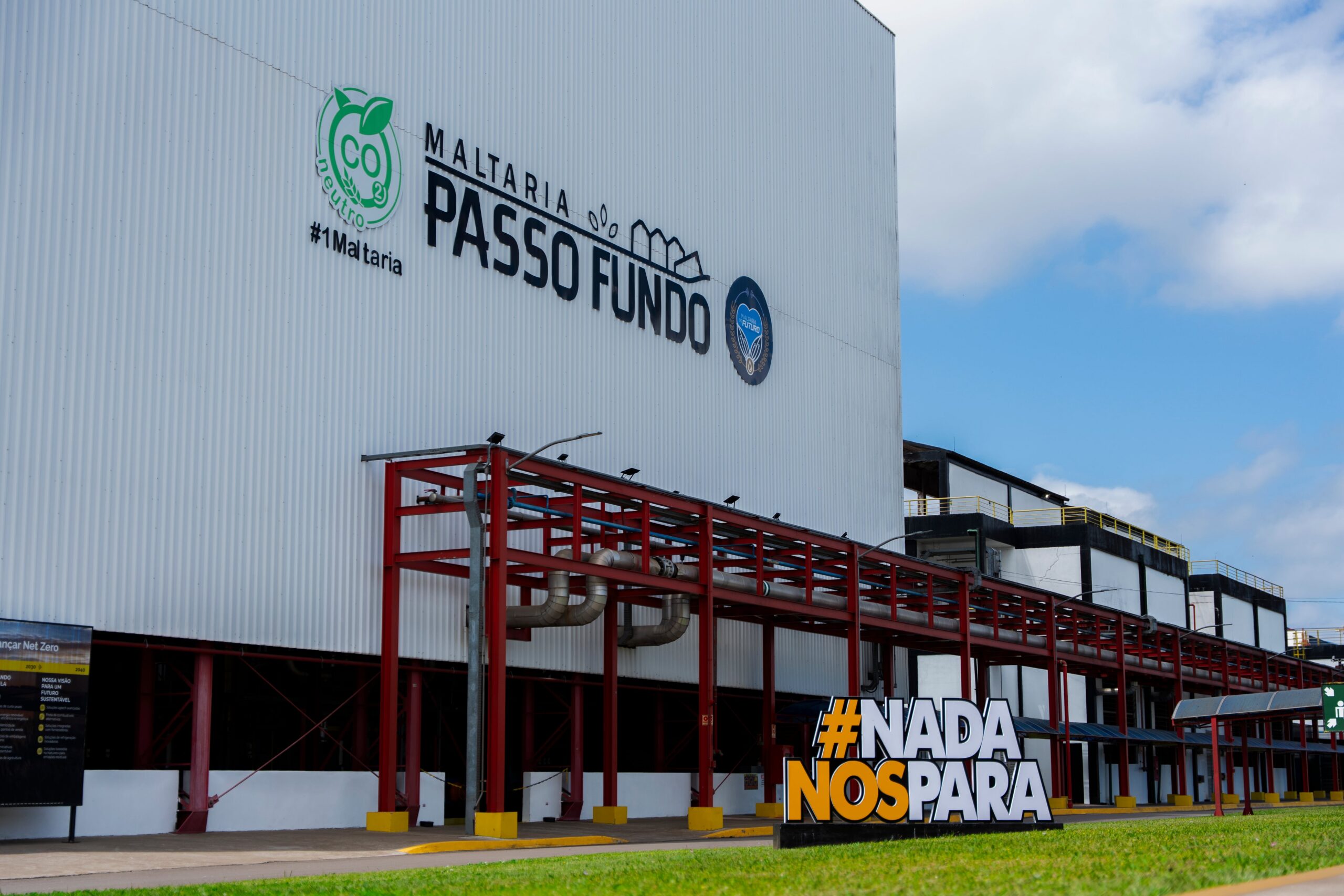 Malte: Descubra o Processo que Transforma Grãos na Alma da Cerveja