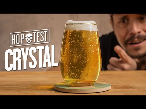 Lúpulo Americano com cara de Nobre!