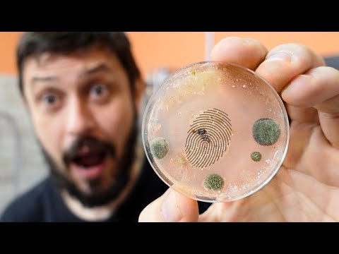 Sanitizei tudo certo. Mas isso apareceu na placa