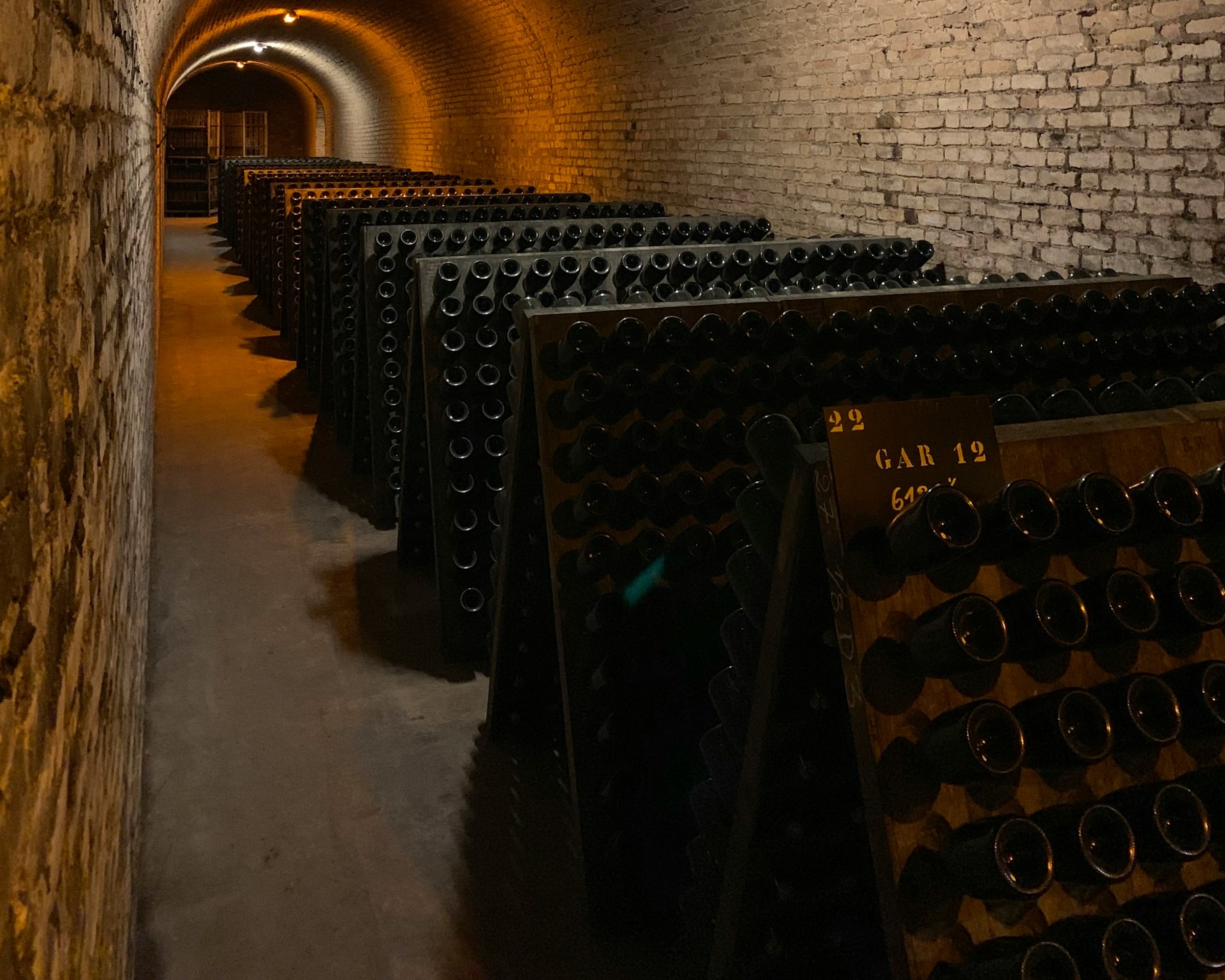 Cerveja Brasileira Feita com Uva Chardonnay é Eleita a Melhor do Mundo